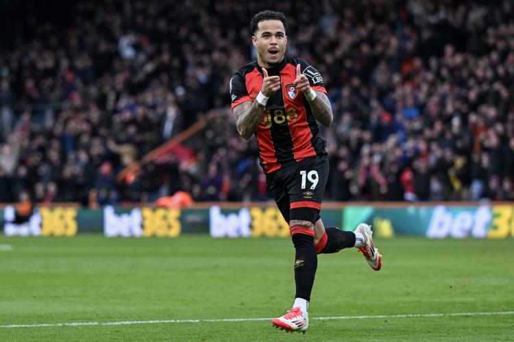 dingy, 但很高兴看