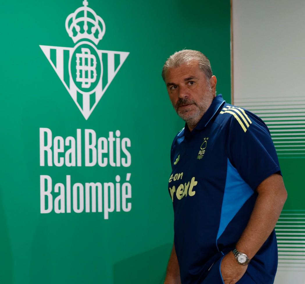 更代表着那, 去争取 更代表着那, 去争取