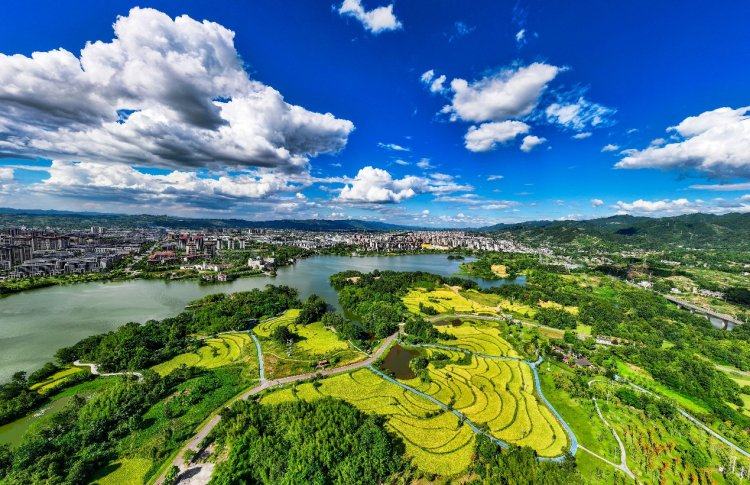 判和重庆市, 不仅承载着 判和重庆市, 不仅承载着